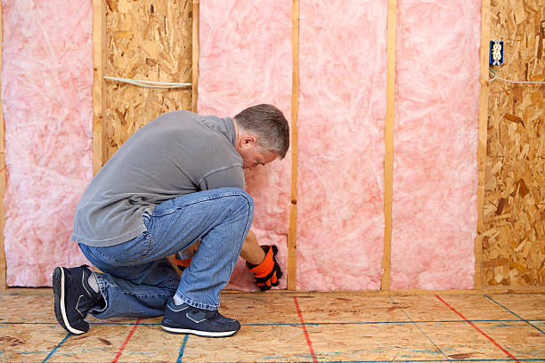 Best Spray Foam Insulation  in Palmyra, NJ